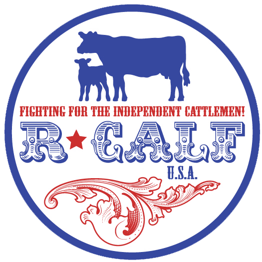 r-calf-img