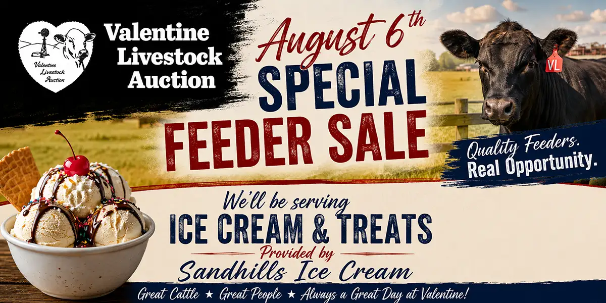 august-6-sale-ice-cream