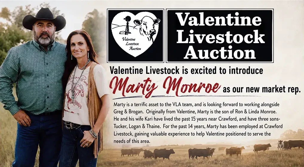 Marty Monroe