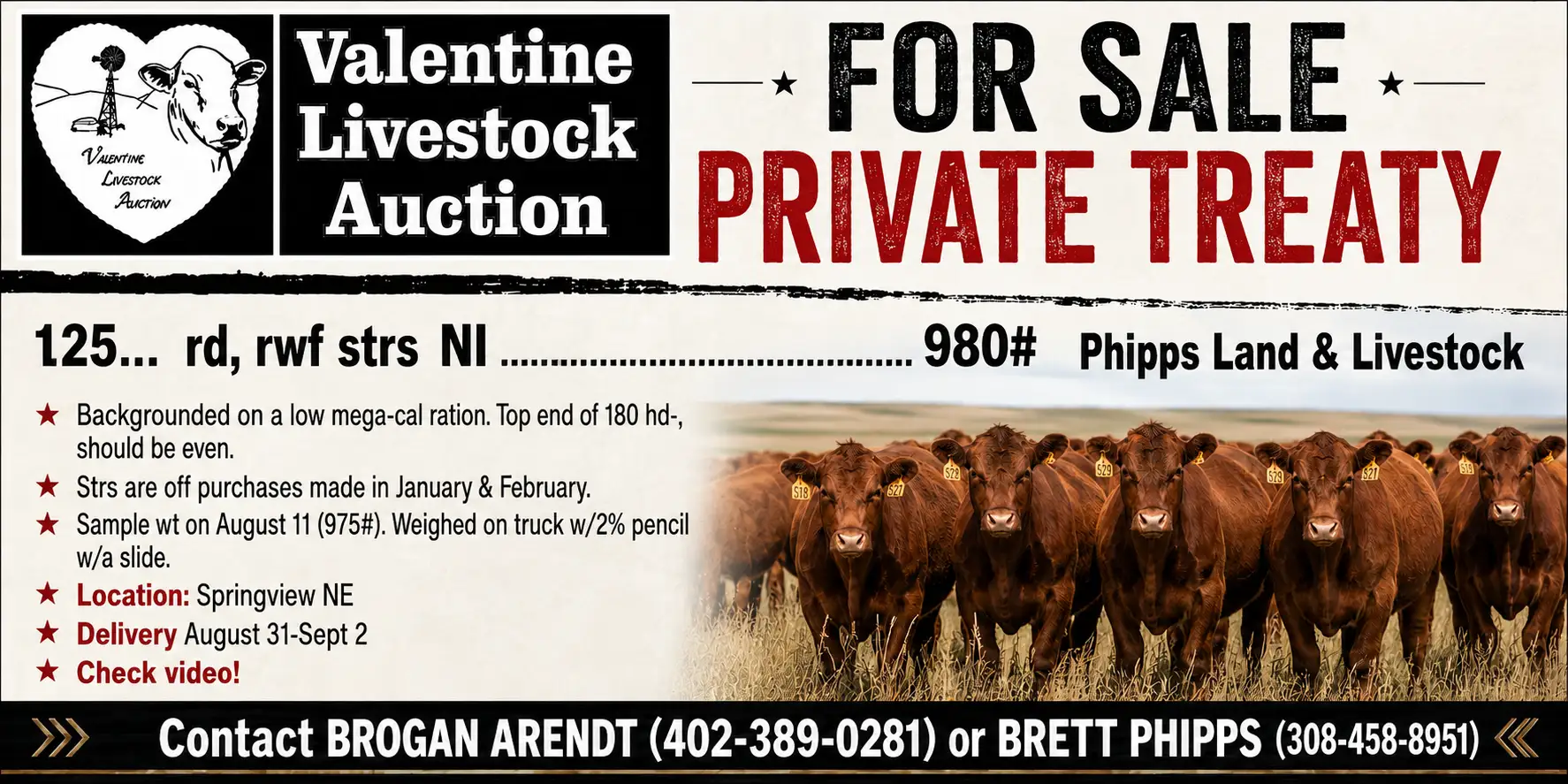 private-placement-phipps-land-livestock5 private-placement-phipps-land-livestock